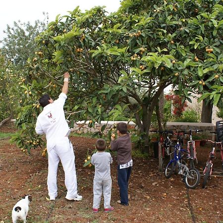 Agroturismo Can Gall Sant Joan De Labritja Exterior foto