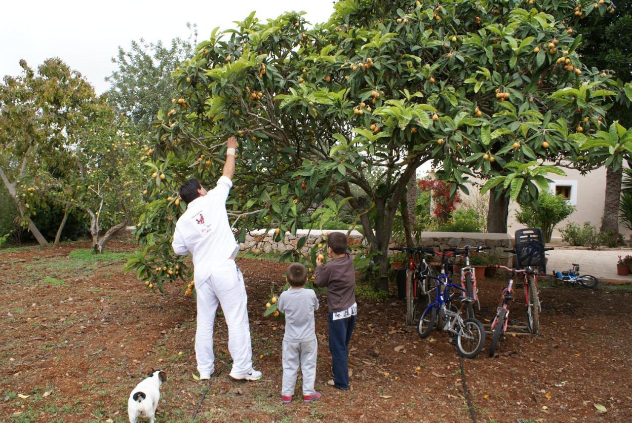 Agroturismo Can Gall Sant Joan De Labritja Exterior foto